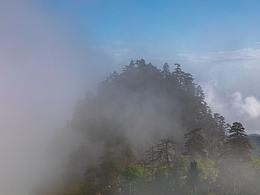 山