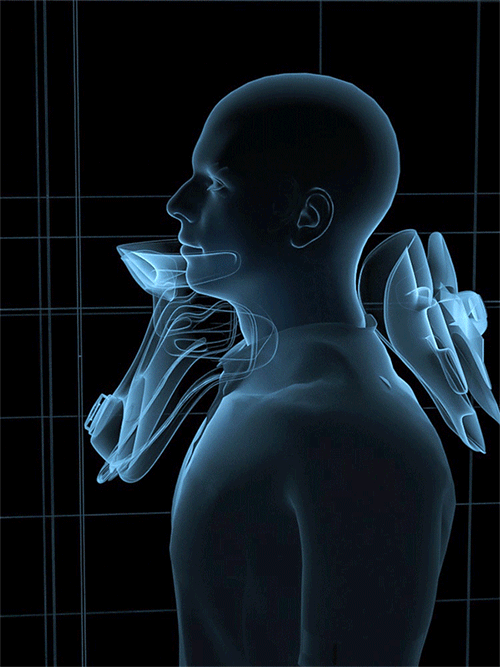 颈椎固定器 | 视频动效