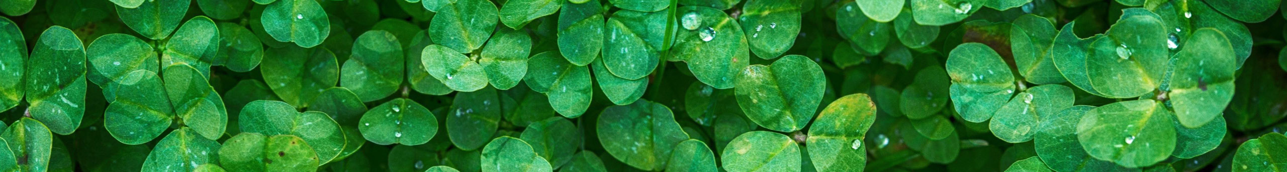 怂也的个人主页（封面预览） - 主页封面设置 - 站酷设计师怂也原创素材 - 站酷ZCOOL