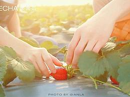 原产地,材料视频