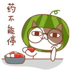 西瓜猫熙熙cici 特征:头部为绿色西瓜形状,脸型为猫脸,两个猫耳朵长