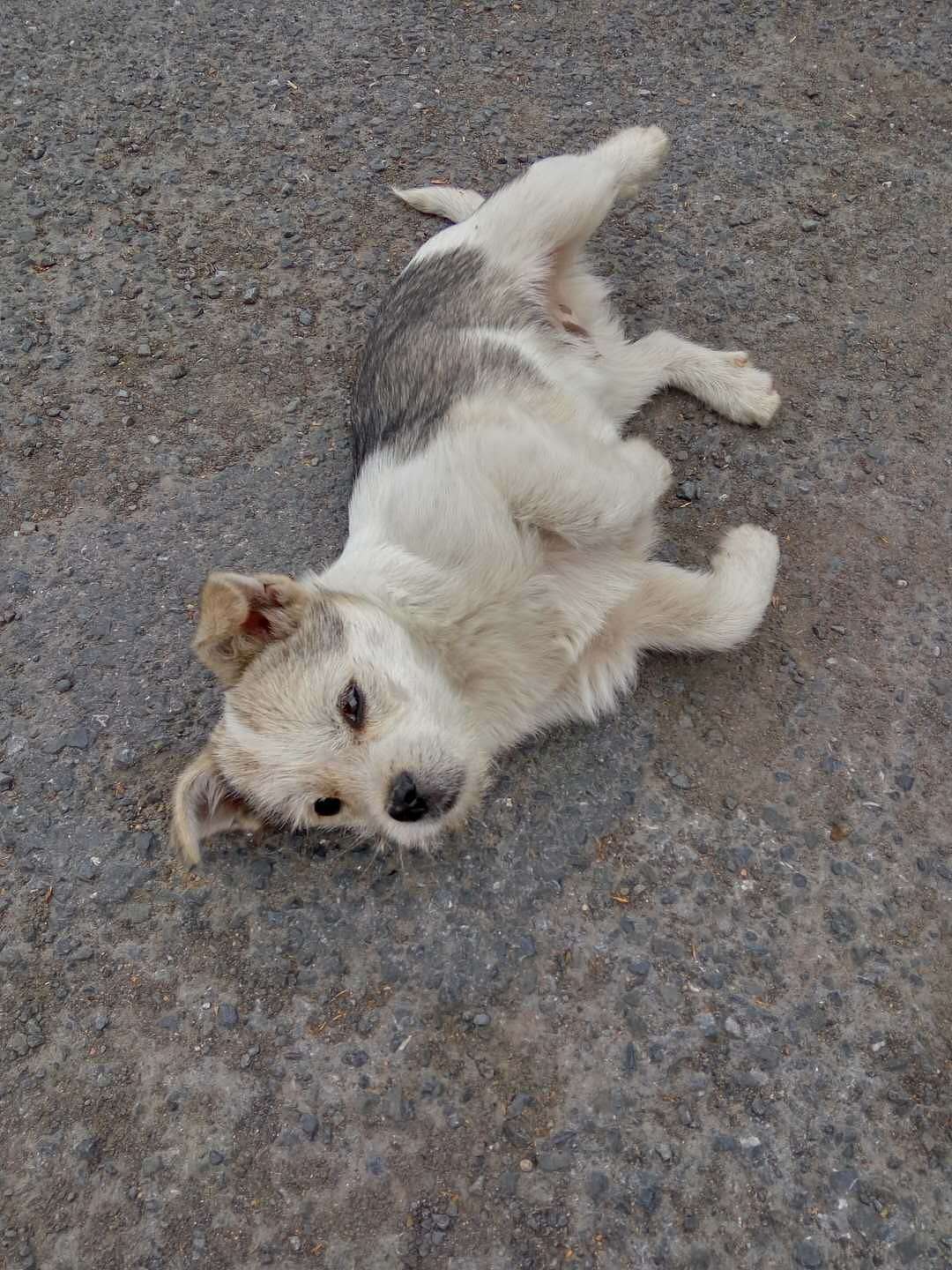 遇见（图ZMTEyMTA3MjUy） - 人文/纪实摄影 - 站酷设计师焉寐语原创素材 - 站酷ZCOOL