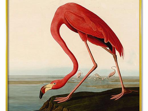 使家的空间生动起来