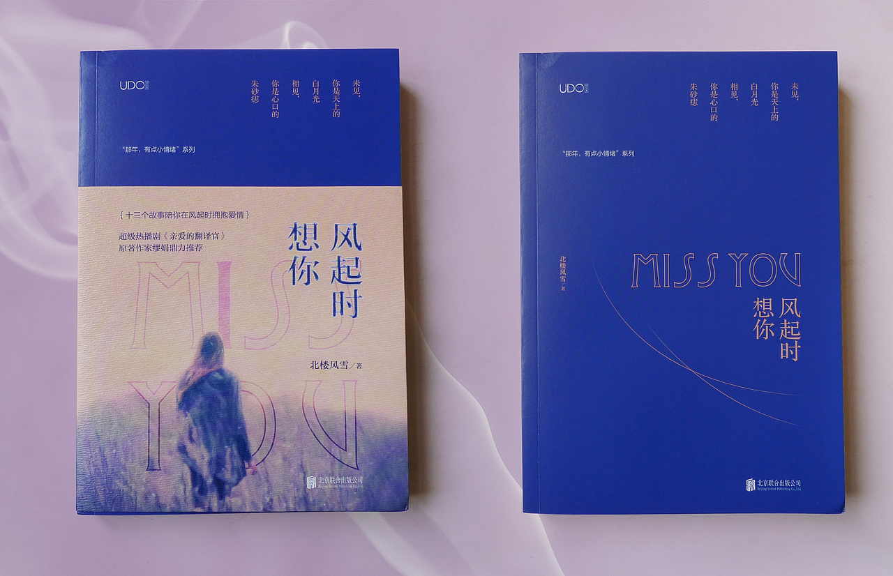 《风起时想你》 装帧设计_喃风-站酷zcool