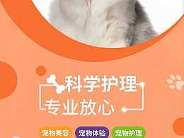 猫狗咖系列海报