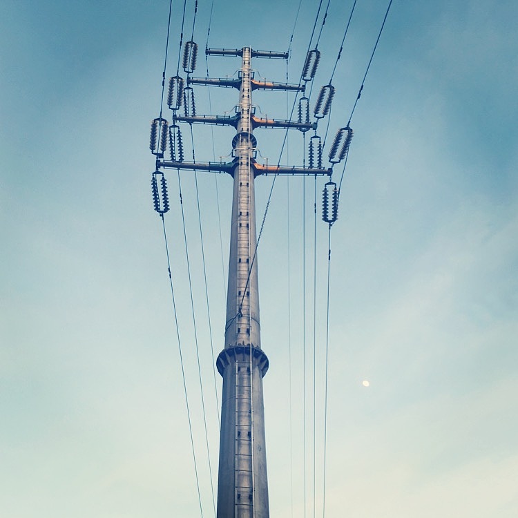 手机随手拍2--夏天啊