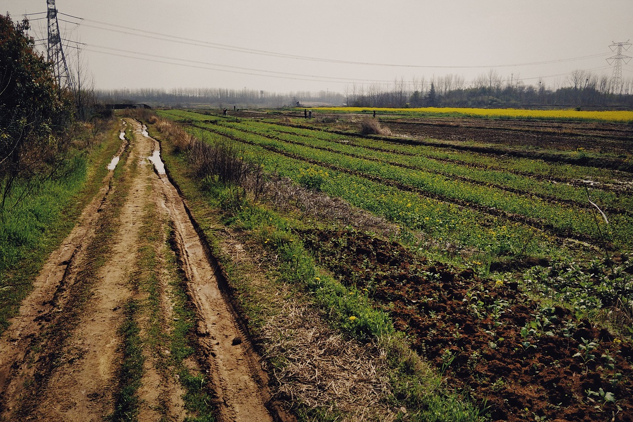 新冠期间的湖北