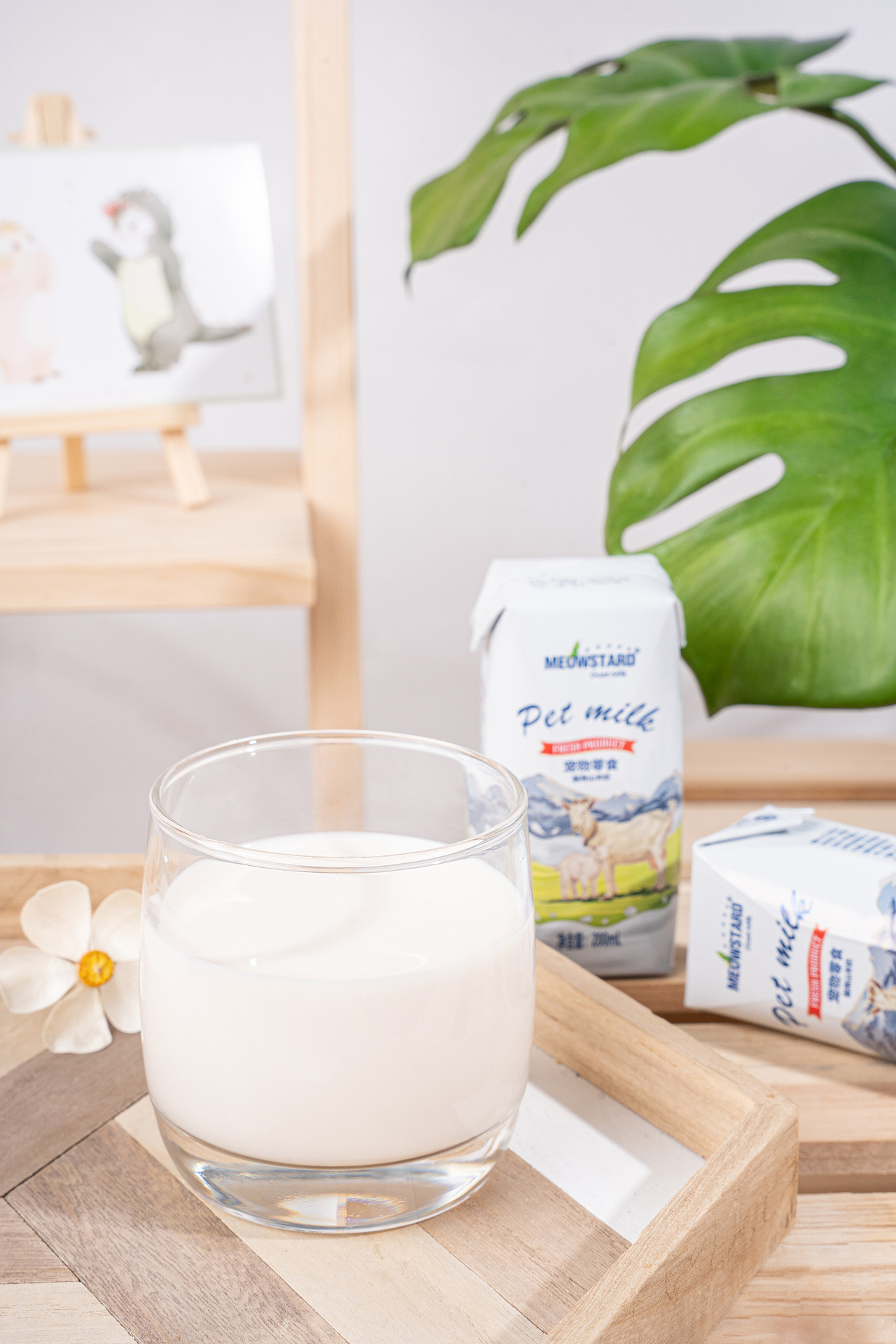 喵达猫山羊奶全脂宠物零食新生幼猫成猫补钙200ml（图ZMjM5NDU2Mzcy） - 产品摄影 - 站酷设计师摄影师舒也原创素材 - 站酷ZCOOL