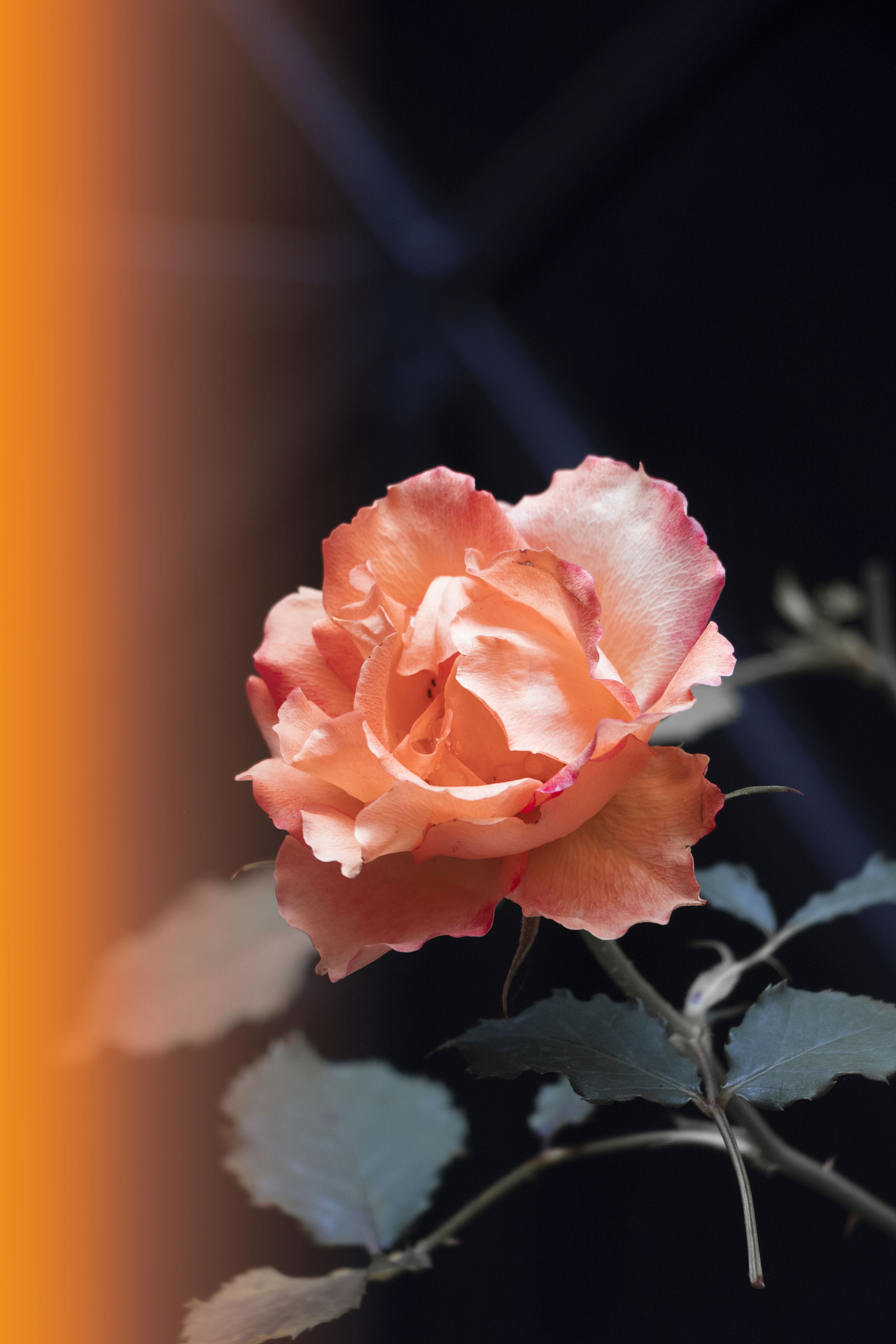 光影之间（图ZMjkyOTQ2MjUy） - 风光摄影 - 站酷设计师南澄原创素材 - 站酷ZCOOL