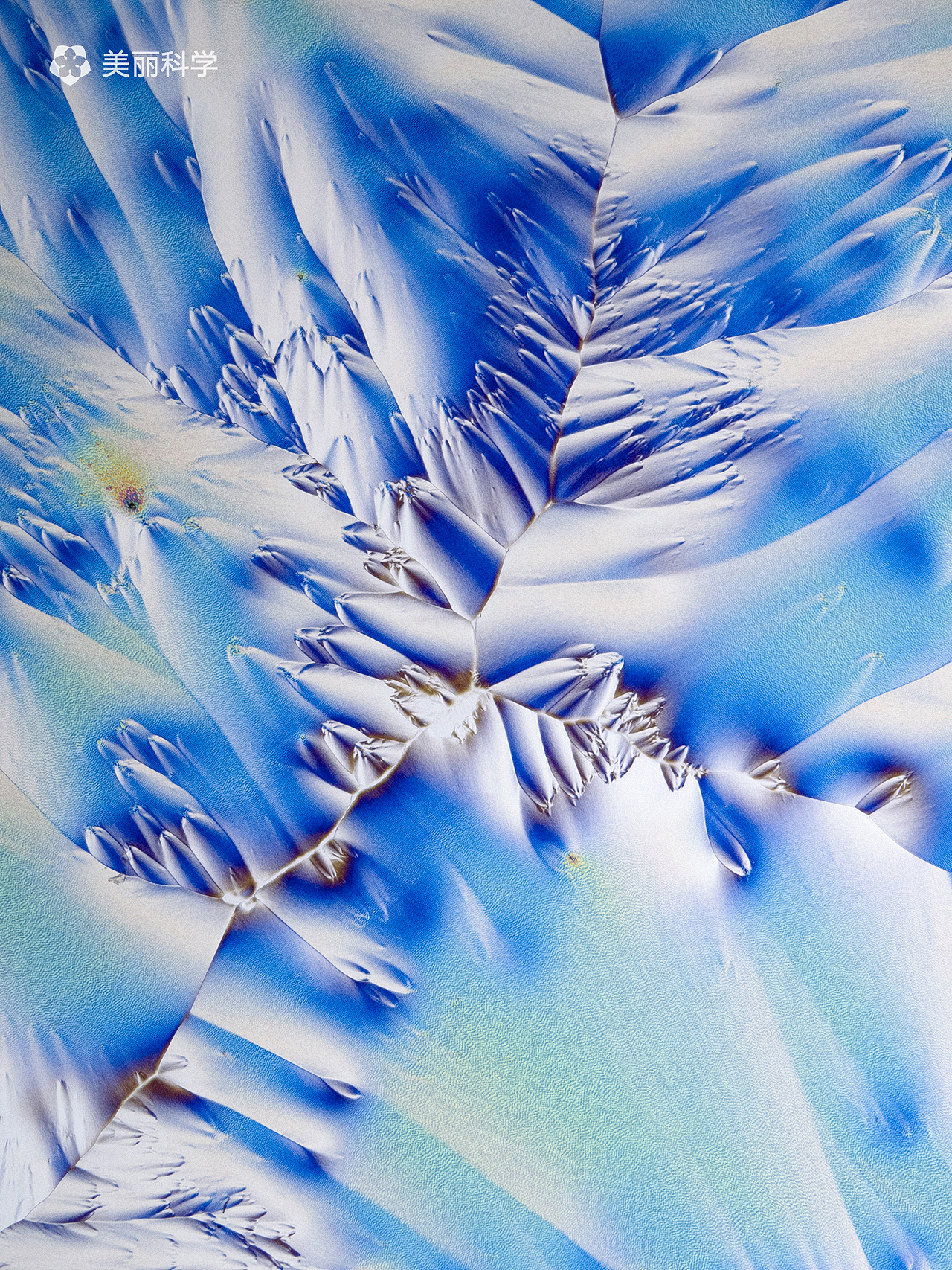 重现化学丨《凌》&《原》（图ZMjI5NjY3MTI4） - 其他摄影 - 站酷设计师美丽科学原创素材 - 站酷ZCOOL