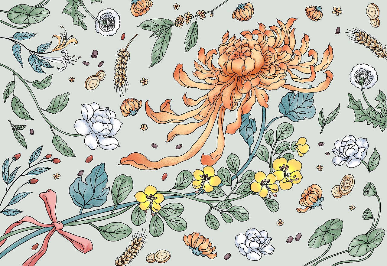 线描植物·云南花草茶包装插画