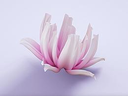 【E=MC^2】Fabric design 