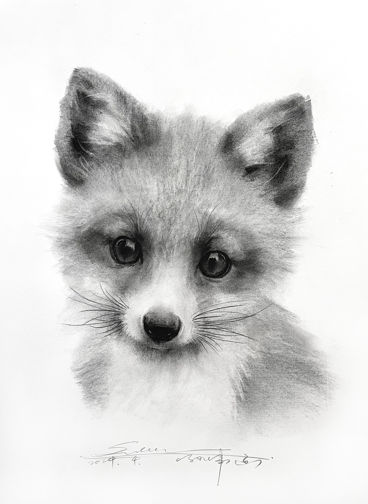 黑白插画也可以很好看不是吗？