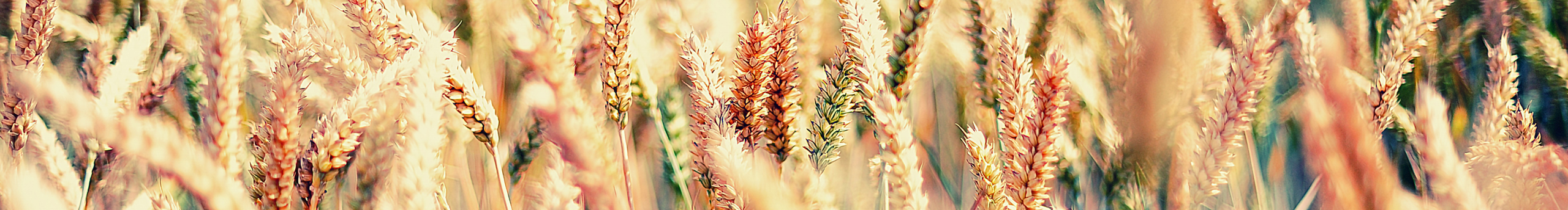 _daze_的個人主頁（封面預(yù)覽） - 主頁封面設(shè)置 - 站酷設(shè)計師_daze_原創(chuàng)素材 - 站酷ZCOOL