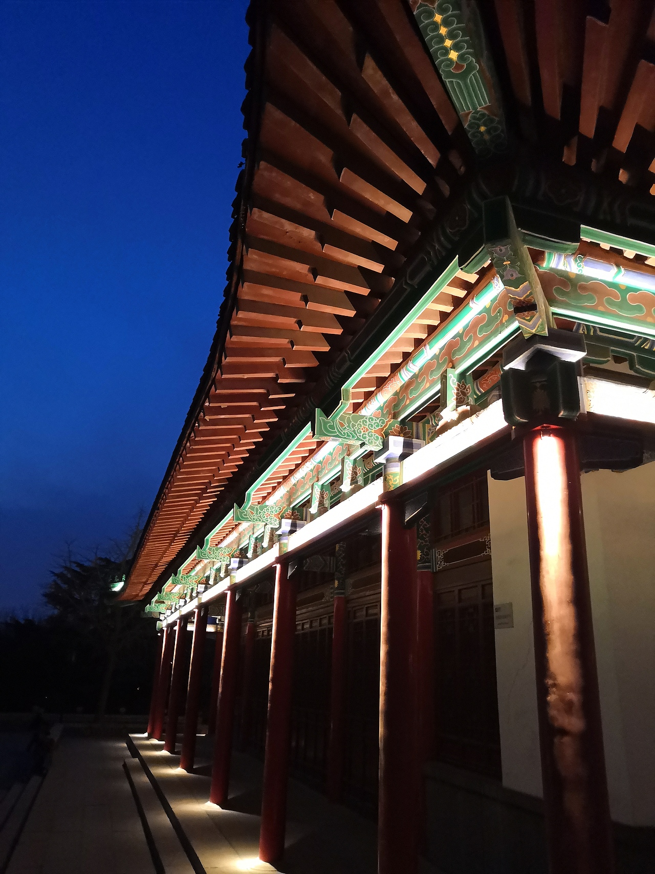 济南大明湖夜景摄影