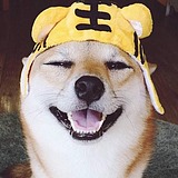 潘潘爱大米的头像