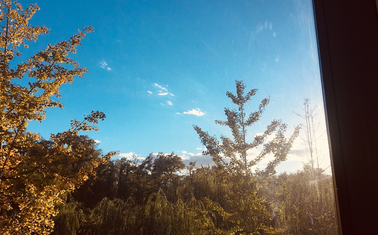 《京城初入秋》