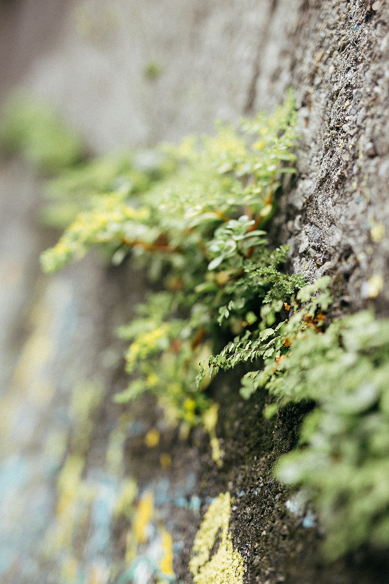 台湾纪——九份