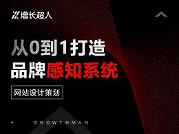 网站