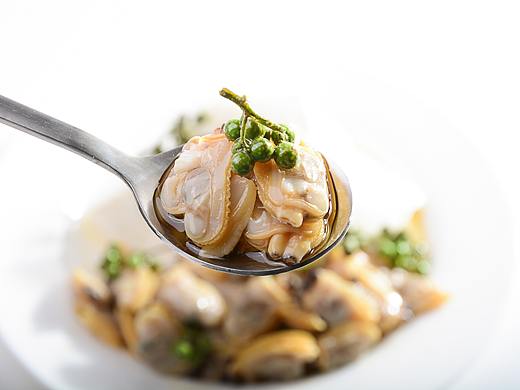 扇贝花甲（个人主页-ZNDA5MjYxOTI=） - 产品摄影 - 站酷设计师Zhanjiajia原创素材 - 站酷ZCOOL