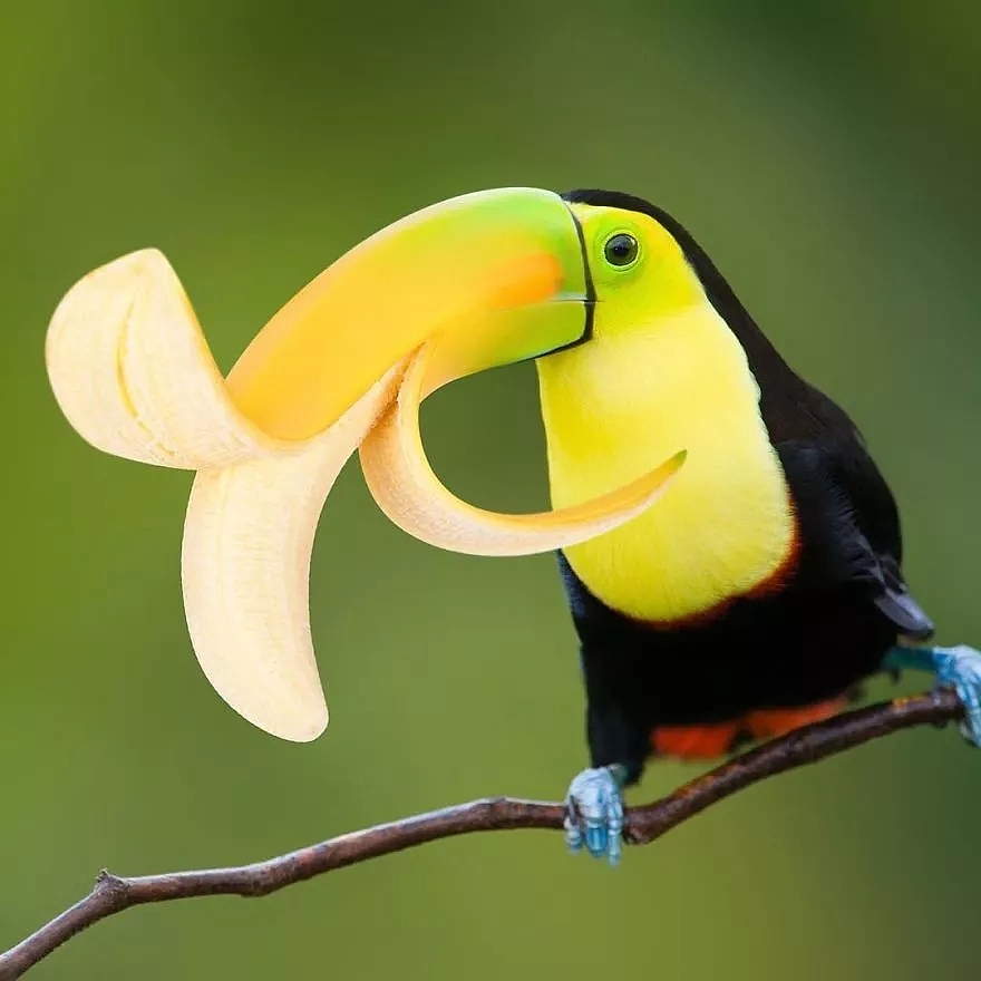 P地如此真实!  这是我希望达到的境界!