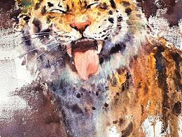 水彩画家作品集