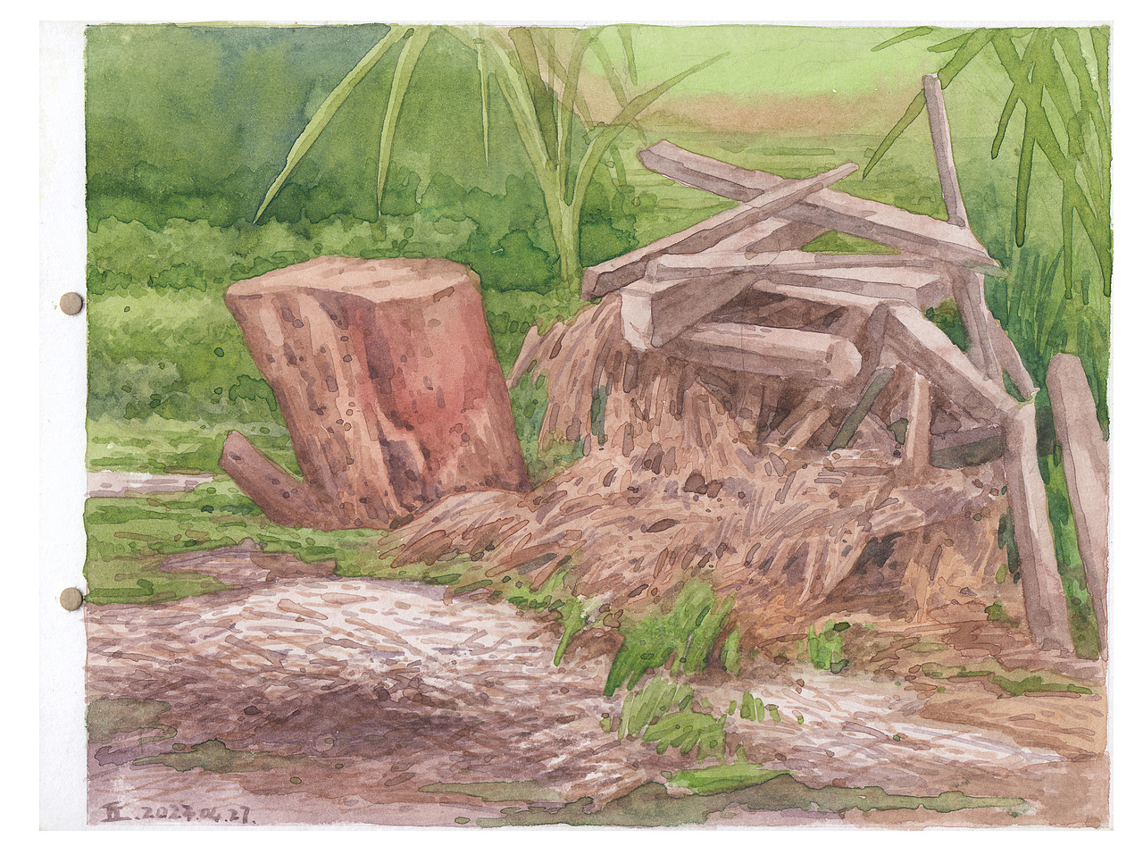 〖画本系列〗- 我的第40本画本 -水彩习作合集（图ZMzM5MzYyNDM2） - 绘画 - 站酷设计师画画的陈一丘原创素材 - 站酷ZCOOL