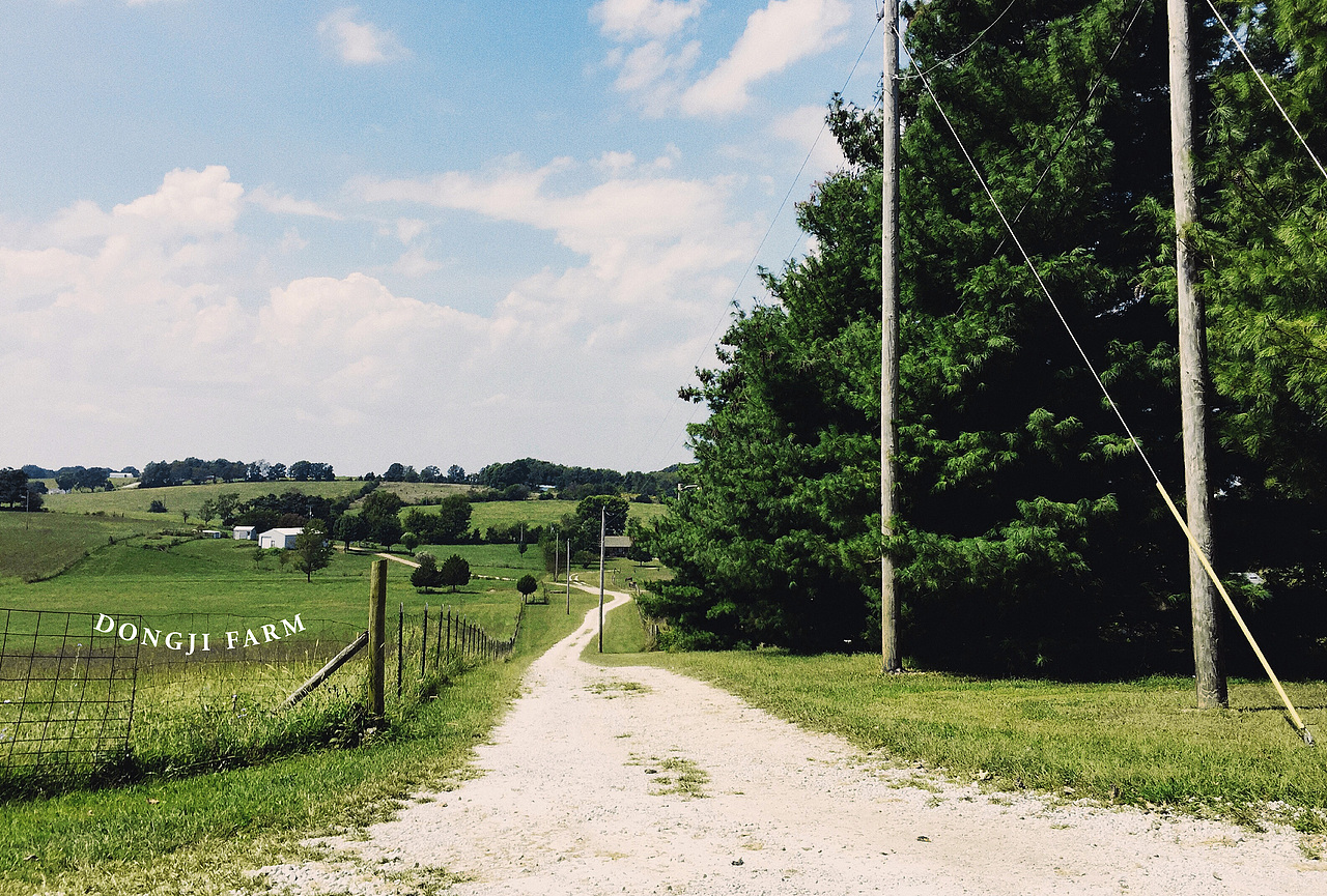 东极农园品牌形象设计