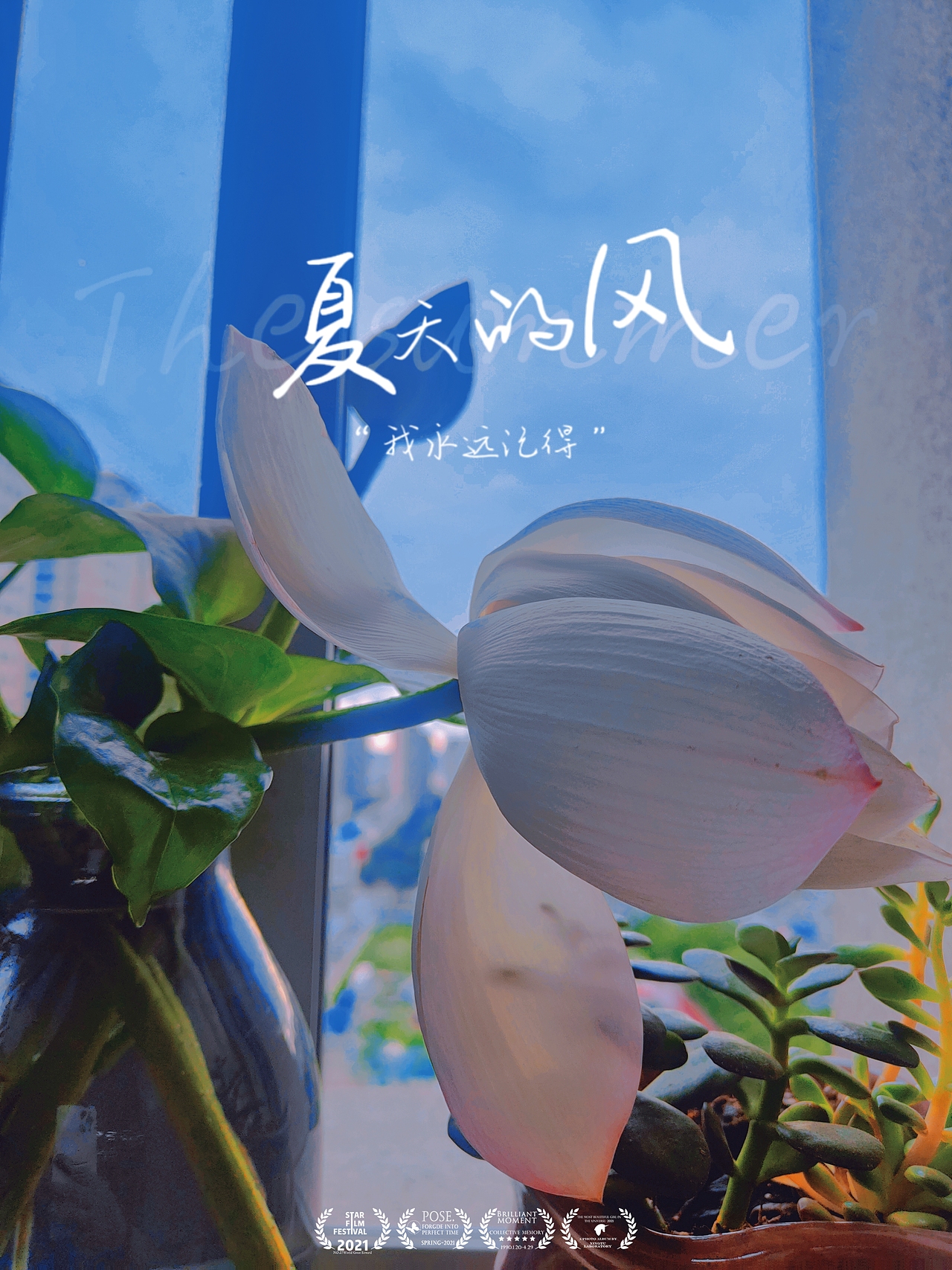 夏天的花开（图ZMzA5NDk4NjAw） - 风光摄影 - 站酷设计师蠢萌小绵羊原创素材 - 站酷ZCOOL
