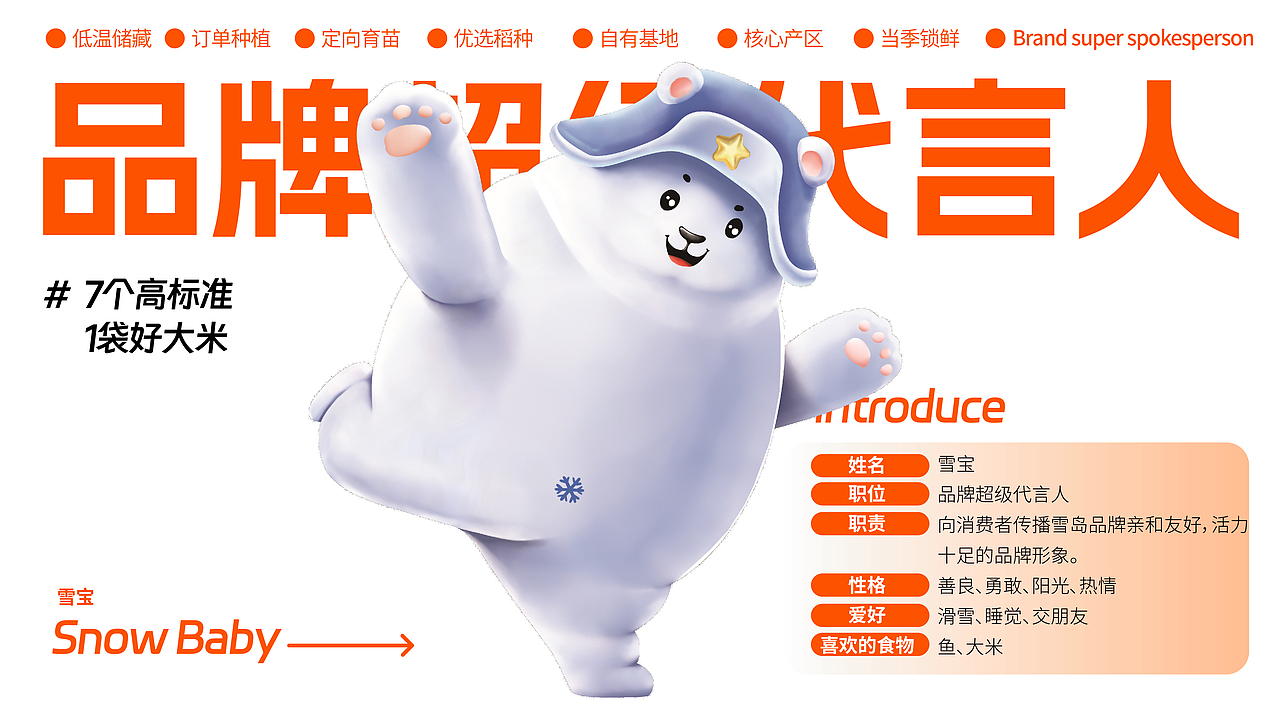 雪岛/品牌全案策划设计（图ZMzUzMjQwMjM2） - 品牌 - 站酷设计师一棵树品牌原创素材 - 站酷ZCOOL