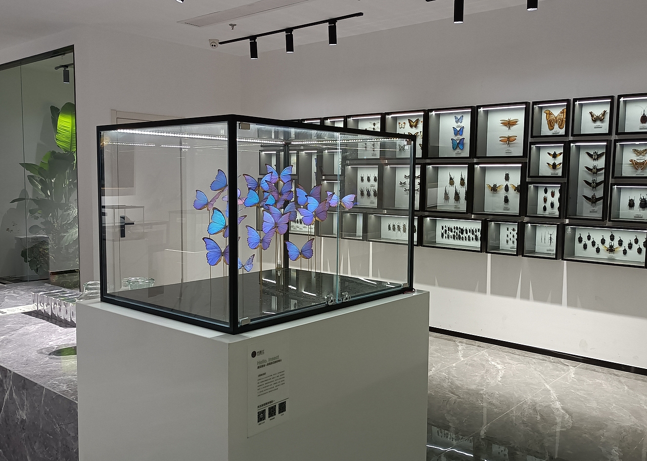 蓝色幻影昆虫空间（图ZMzUxNzAyNDky） - 展陈设计 - 站酷设计师I虫趣汇I原创素材 - 站酷ZCOOL