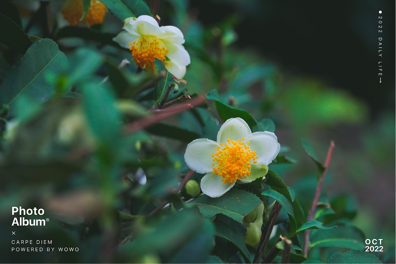 10月 | 杭州 十里琅珰 Part01