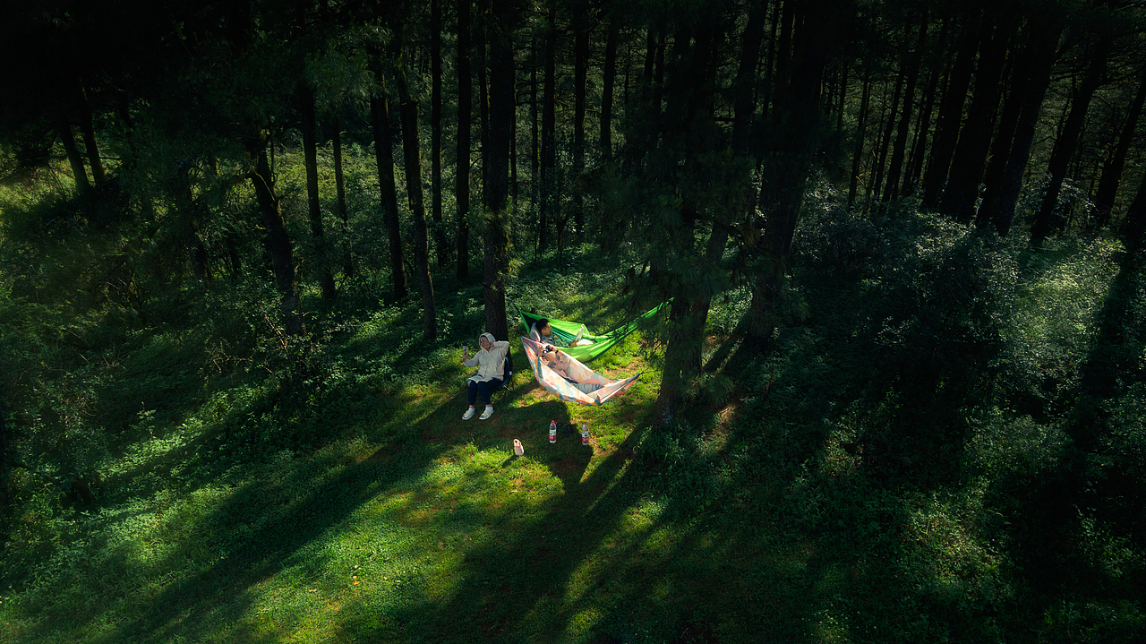 寻几缕阳光（图ZMzAzMjUzMDEy） - 风光摄影 - 站酷设计师nayinian原创素材 - 站酷ZCOOL