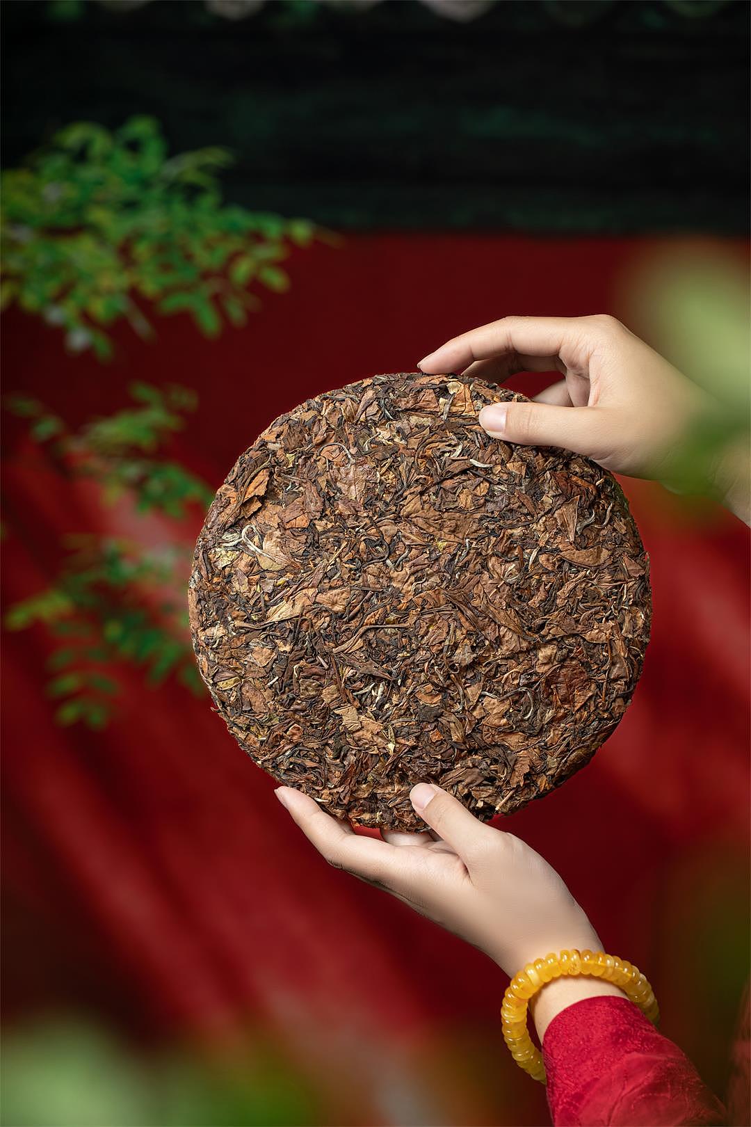 百家姓——福鼎白茶产品拍摄