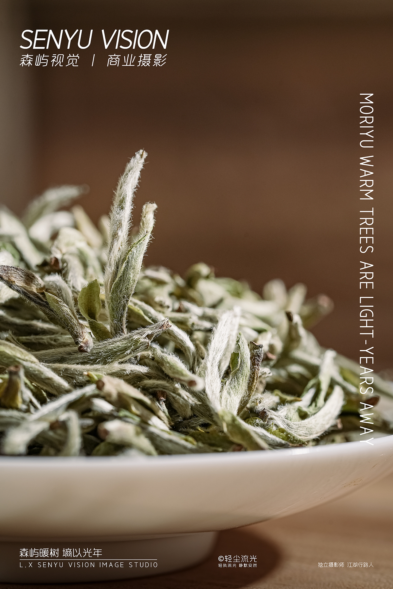 特级白毫银针商业摄影