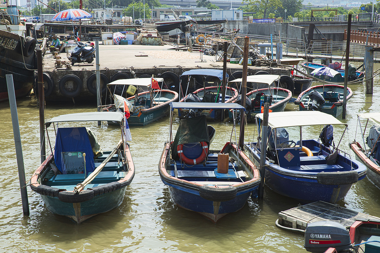 莲花山码头广州风景