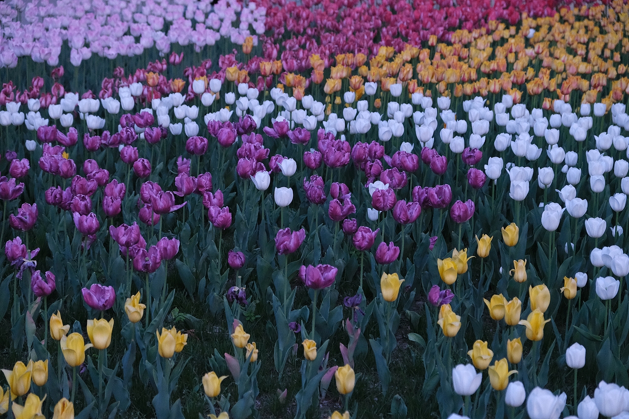 北海公园  中山公园