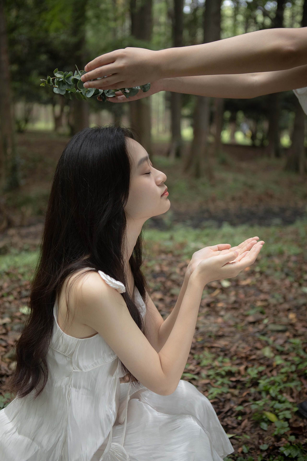 小森林（图ZMzE2Mzg2NjE2） - 人像摄影 - 站酷设计师张禧芮原创素材 - 站酷ZCOOL