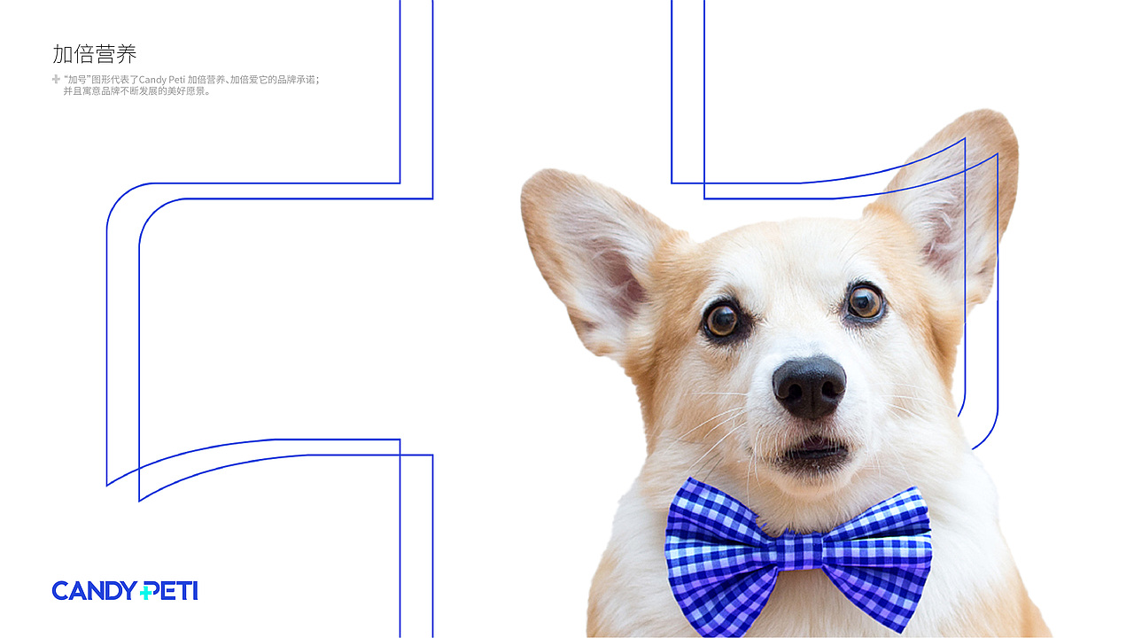 Candy Peti 全新品牌形象设计