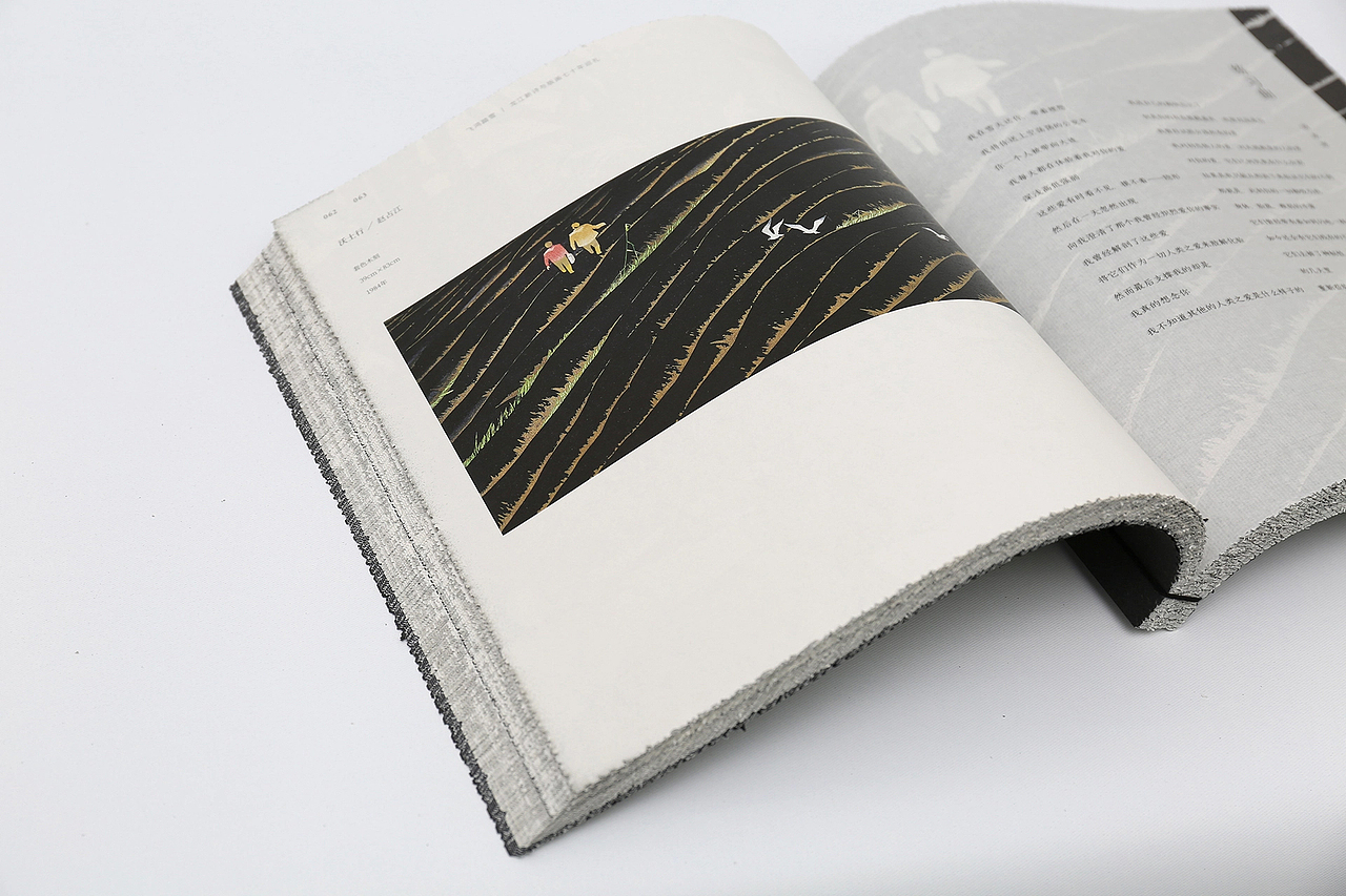 飞鸿踏雪 I 书籍设计