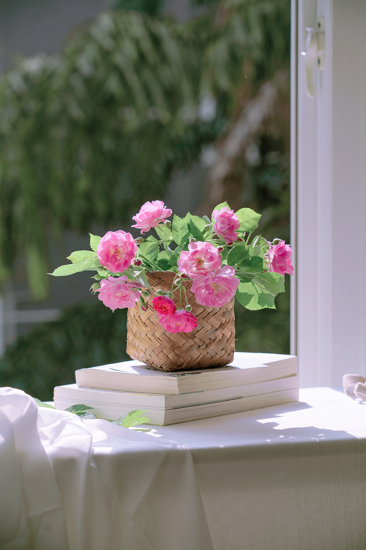 蔷薇花（图ZMzQyMzcyMzMy） - 其他摄影 - 站酷设计师小麦芽MY原创素材 - 站酷ZCOOL