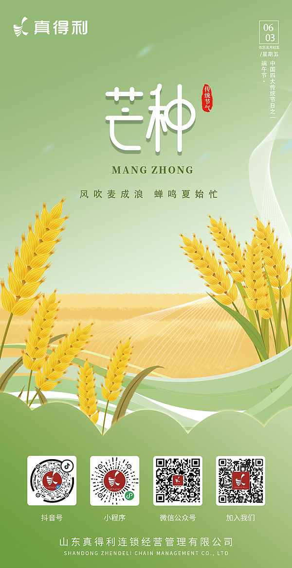 节气海报（图ZMzIwMjEwNjcy） - 海报 - 站酷设计师S沉沦原创素材 - 站酷ZCOOL