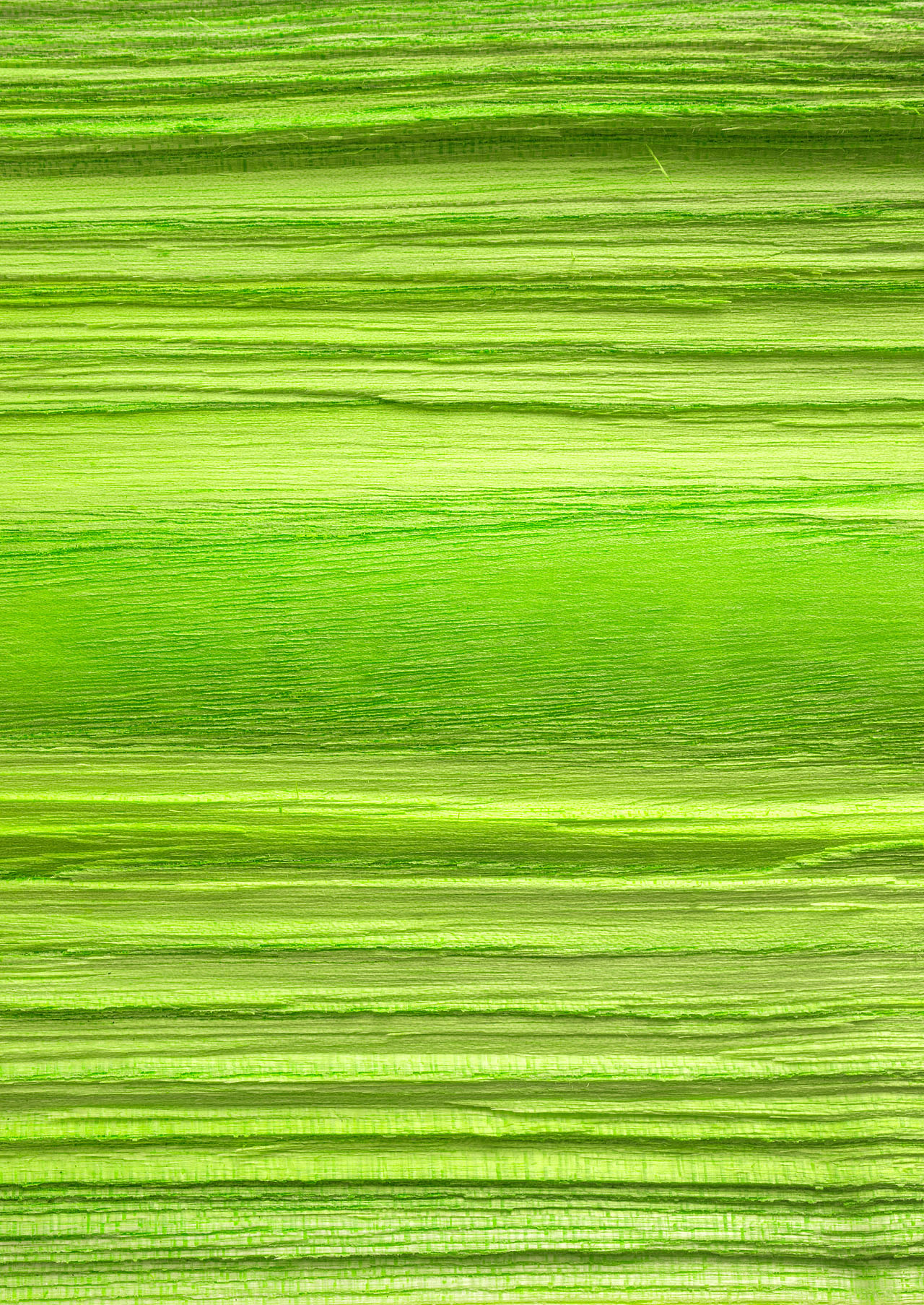 绽影像之《木的写意》（图ZMzQzMDcxNjg0） - 时尚/艺术摄影 - 站酷设计师陈绽原创素材 - 站酷ZCOOL