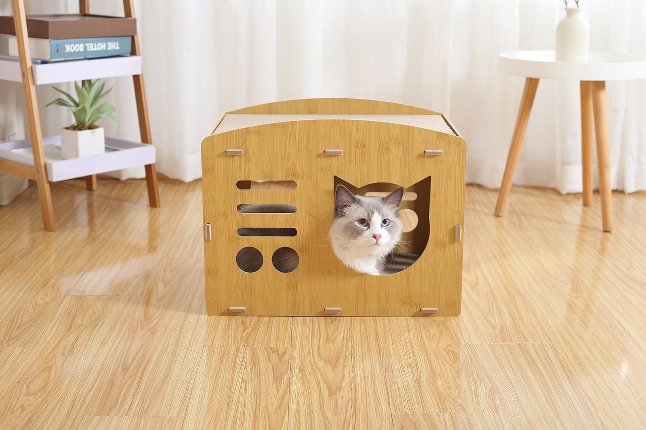 车载牵引绳拍摄亚马逊跨境电商主图设计产品摄影视频制