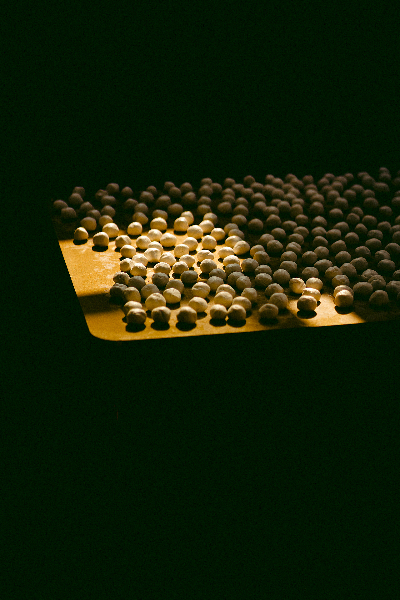 在从小长大的地方结婚.这种幸福一定带着童年的喜悦