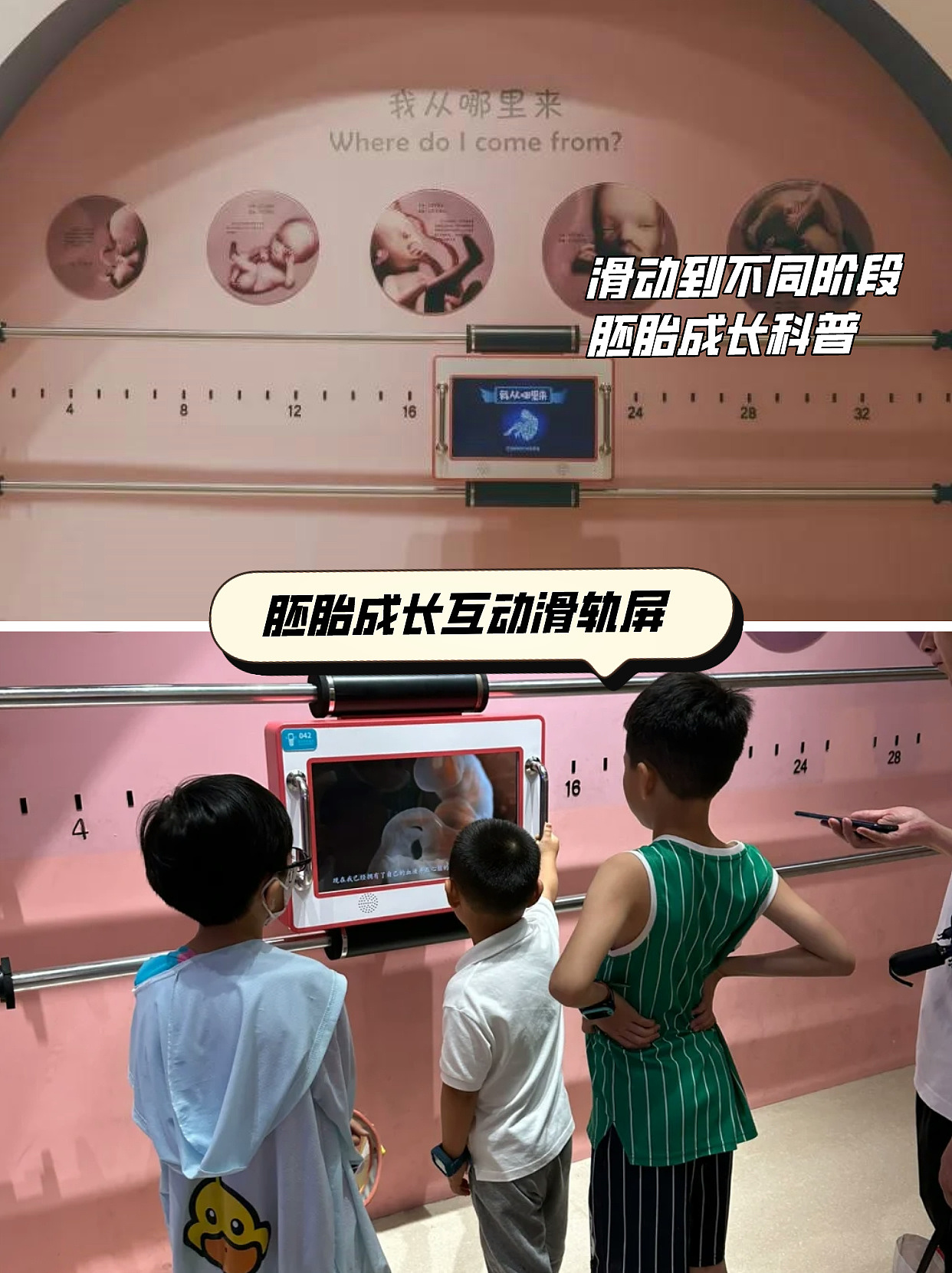 12款亲子互动空间科普教育主题展厅展馆互动创意装置