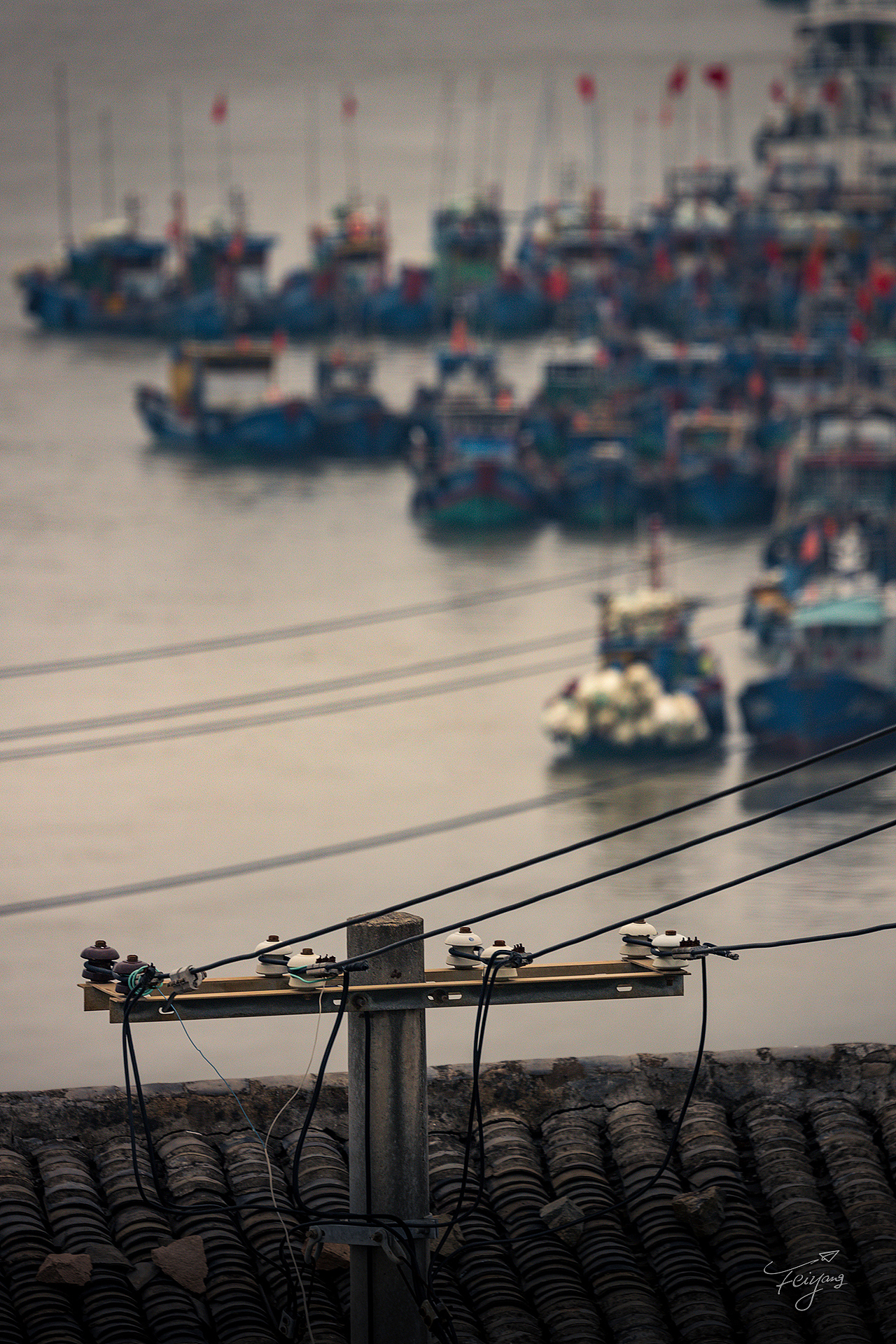 23张照片  代表过去的一年