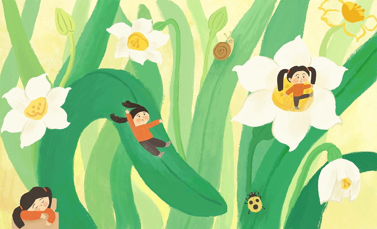 儿童插画|水仙花的时间