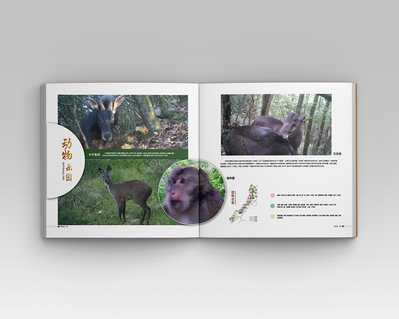 宣传画册-画册设计-画册设计