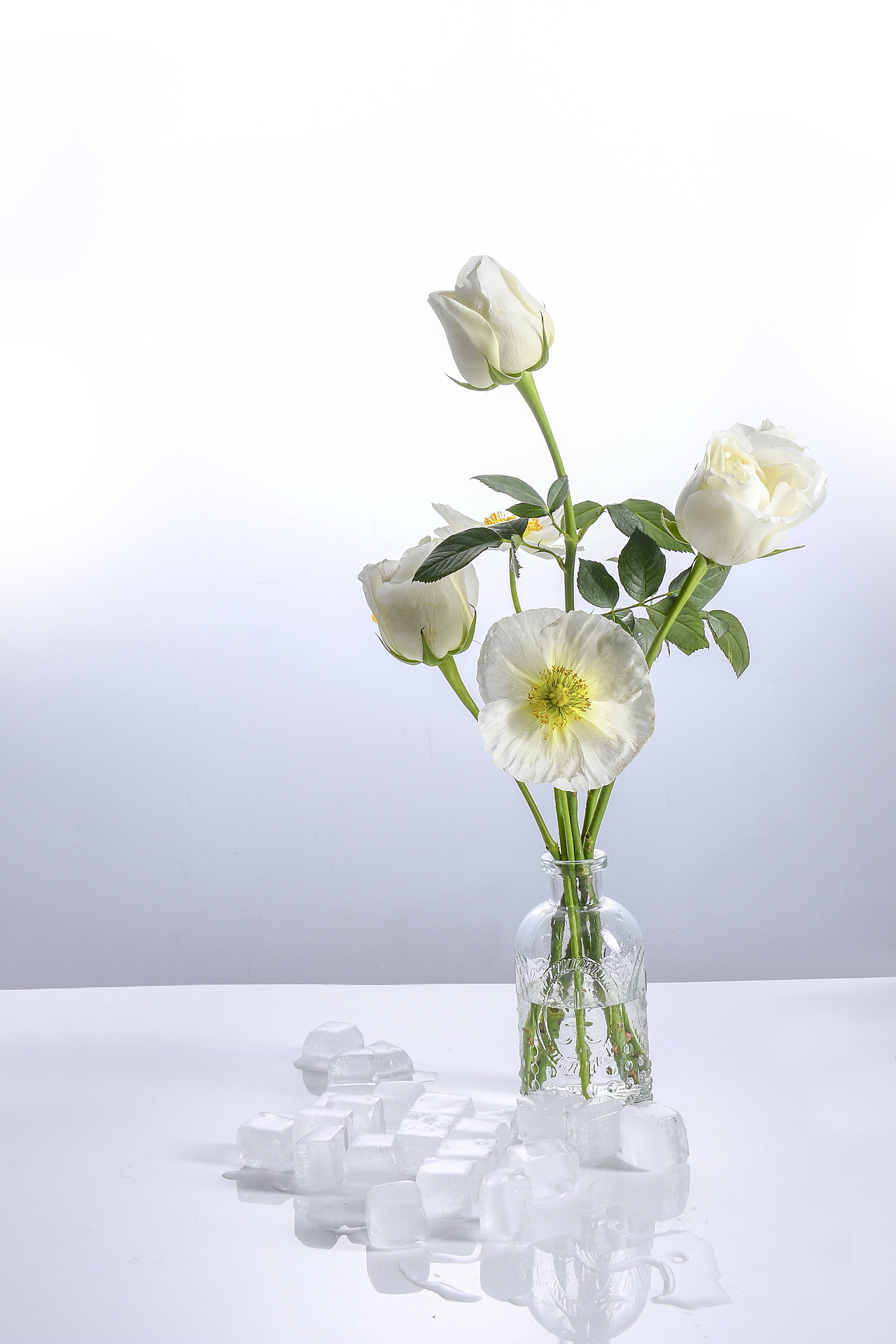 香水拍攝（圖ZMzMxMzYxNzM2） - 產(chǎn)品攝影 - 站酷設(shè)計(jì)師浪漫小玉原創(chuàng)素材 - 站酷ZCOOL